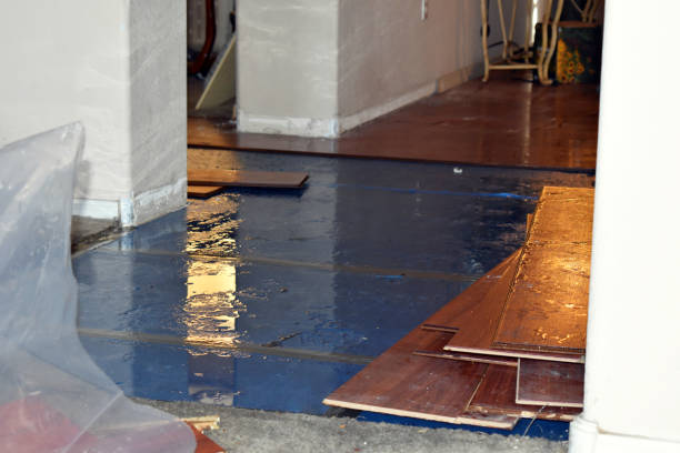 Professional Burst Pipe Water Damage technician working in Bruceville, TX